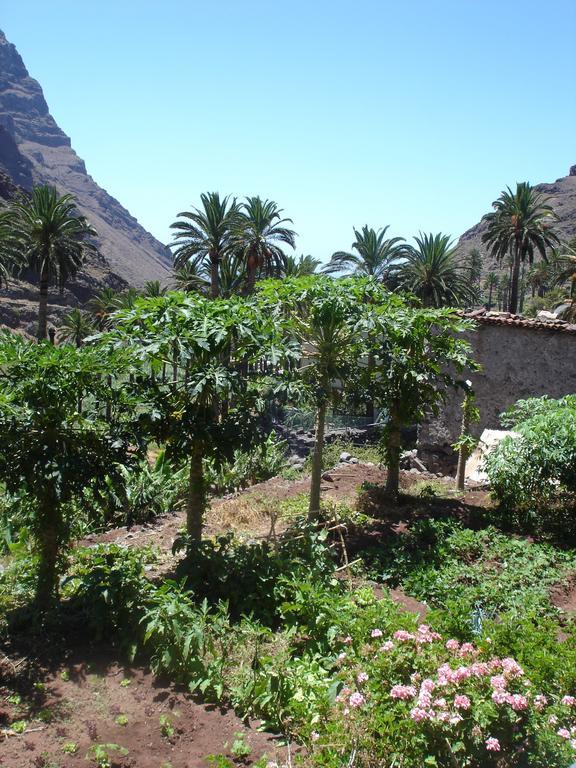 Goyo Gomera Apartments Valle Gran Rey Extérieur photo