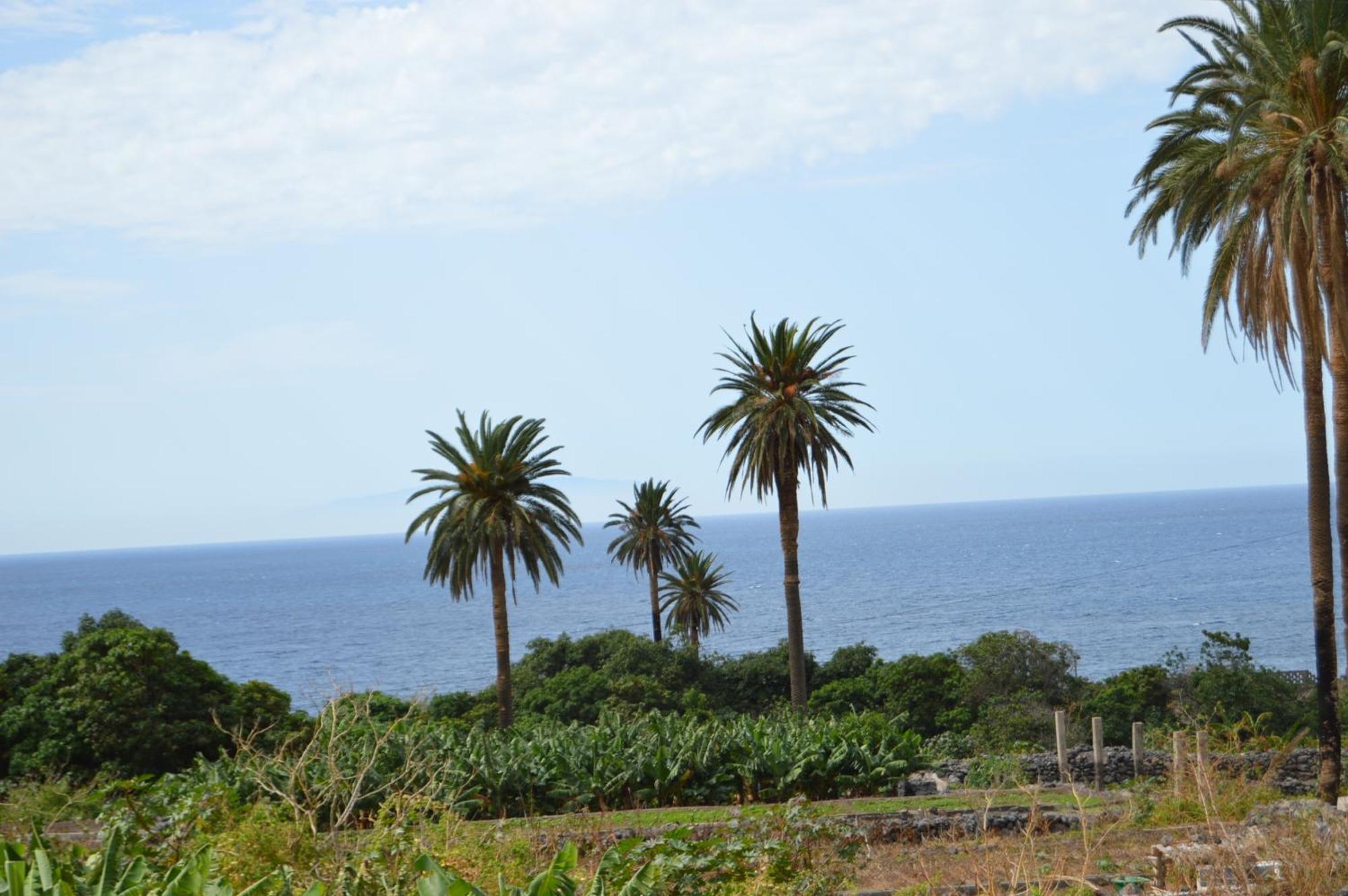 Goyo Gomera Apartments Valle Gran Rey Extérieur photo