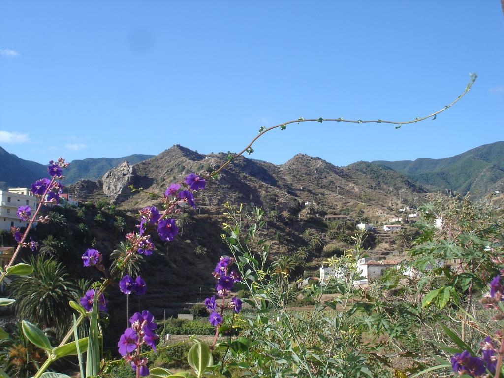 Goyo Gomera Apartments Valle Gran Rey Extérieur photo