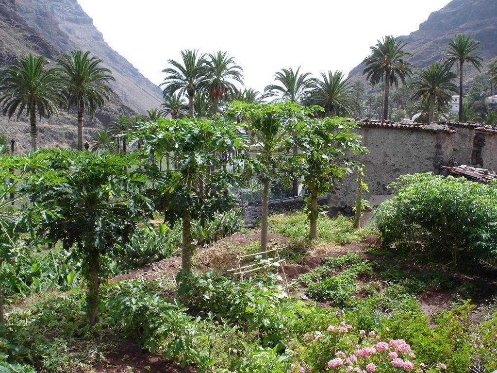 Goyo Gomera Apartments Valle Gran Rey Extérieur photo