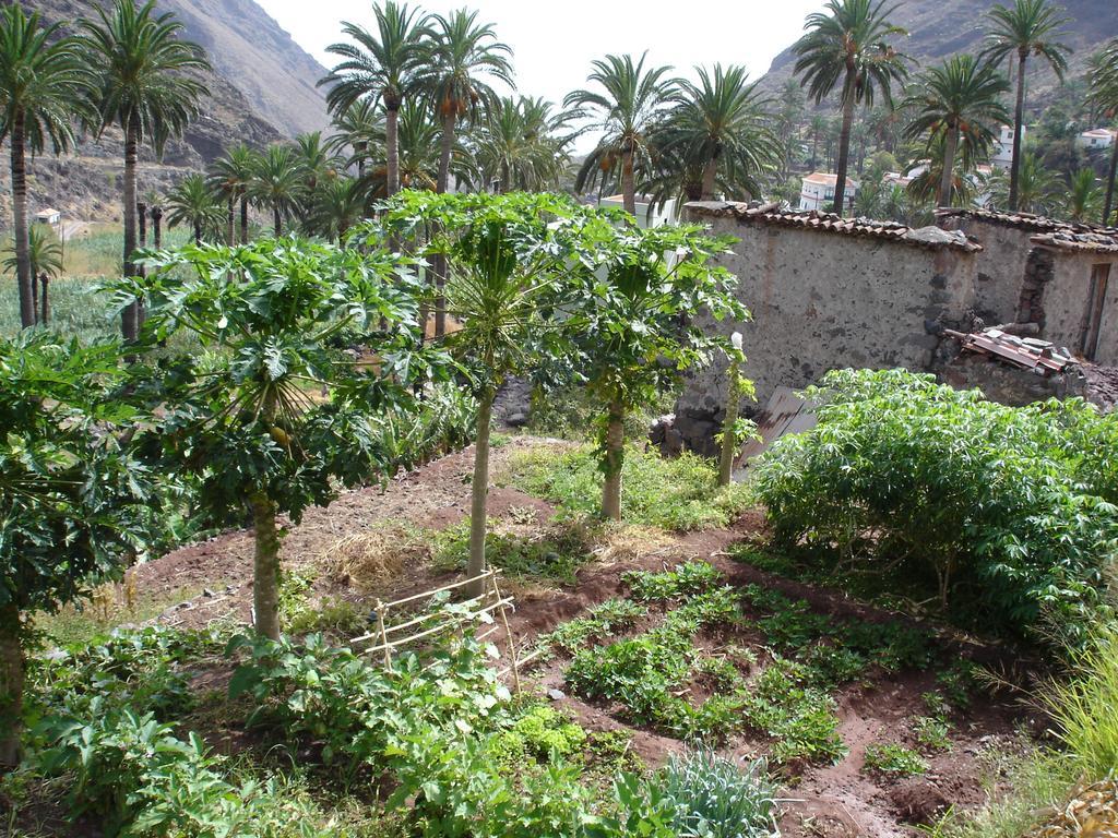 Goyo Gomera Apartments Valle Gran Rey Extérieur photo