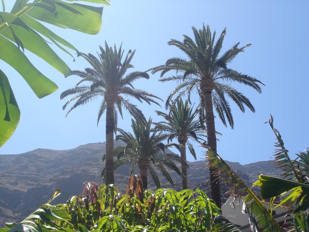 Goyo Gomera Apartments Valle Gran Rey Extérieur photo