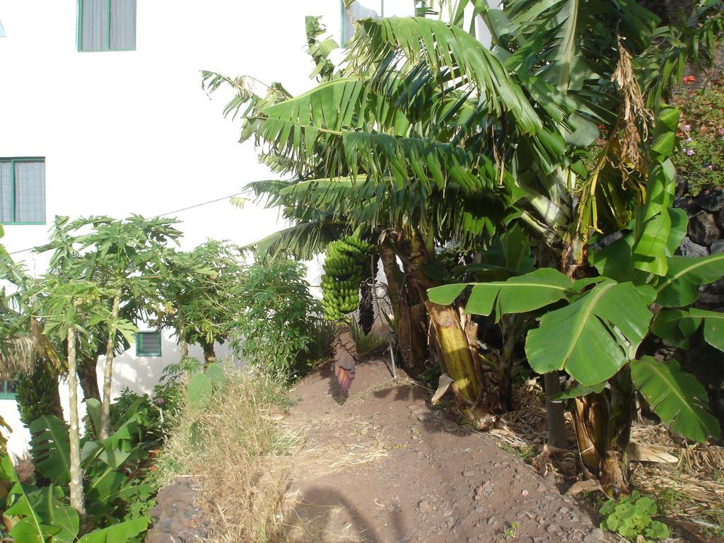 Goyo Gomera Apartments Valle Gran Rey Extérieur photo